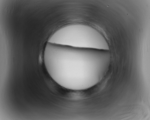 X0000099520069200805151041