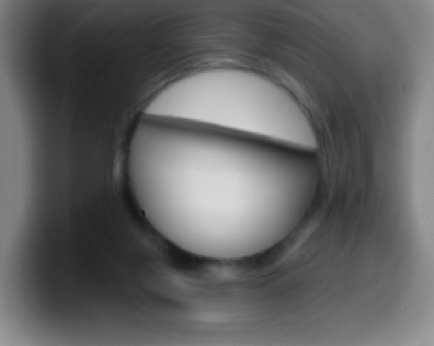 X0000099520071200805151041