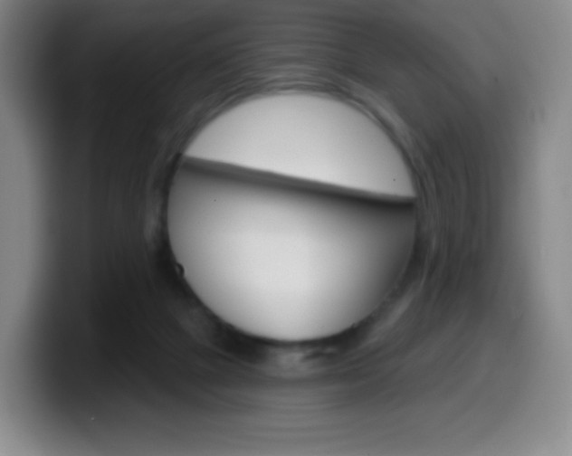 X0000099520073200805151041