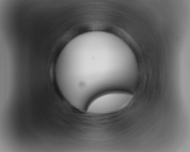 X0000099520074200805151041