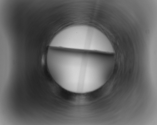 X0000099520075200805151041