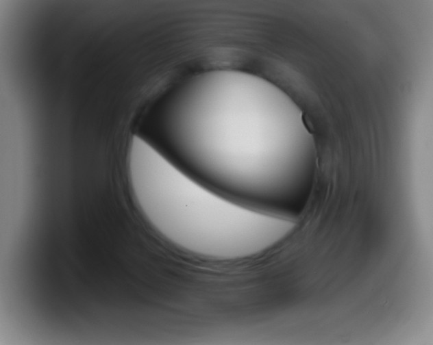 X0000099520076200805151041
