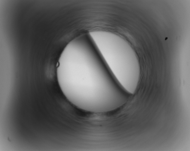 X0000099520077200805151041