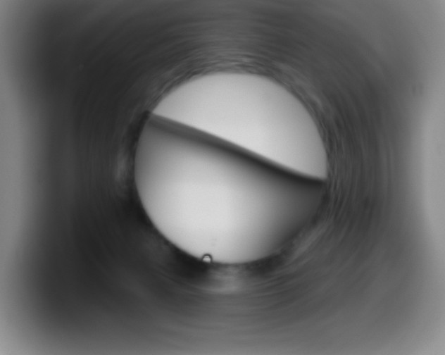 X0000099520079200805151041