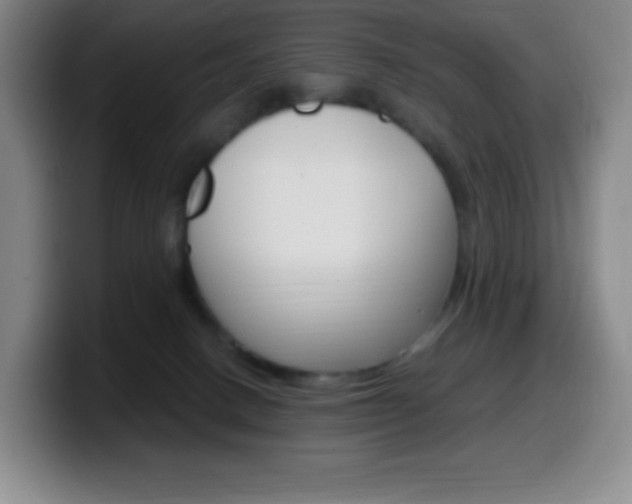 X0000099520082200805151041