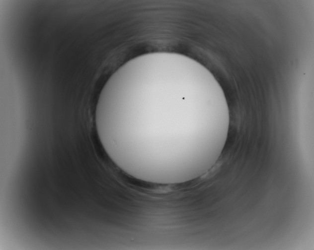 X0000099520086200805151041