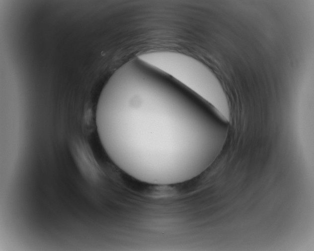 X0000099520087200805151041