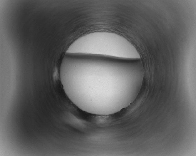 X0000099520089200805151041
