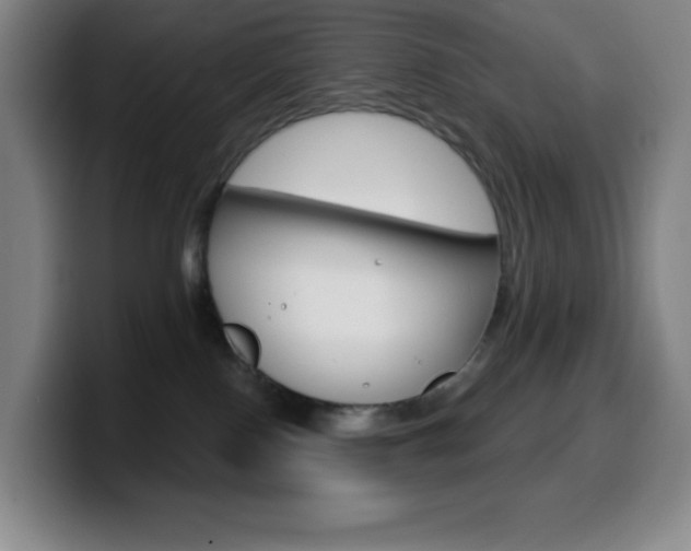 X0000099520090200805151041