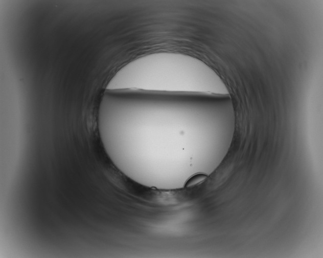 X0000099520091200805151041