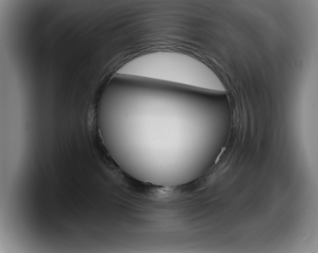 X0000099520092200805151041
