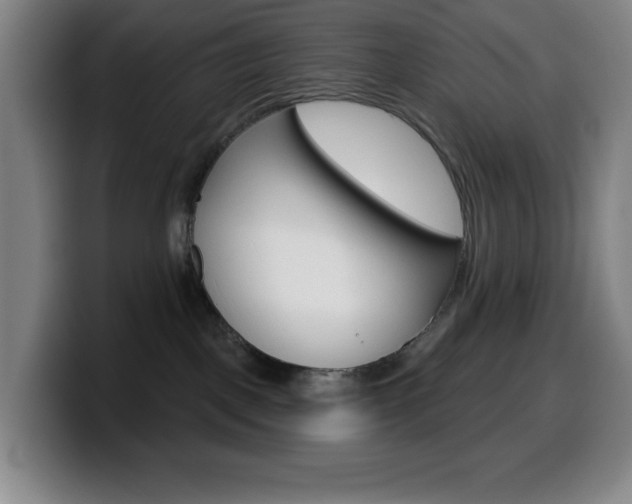 X0000099520093200805151041