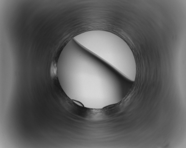 X0000099520095200805151041