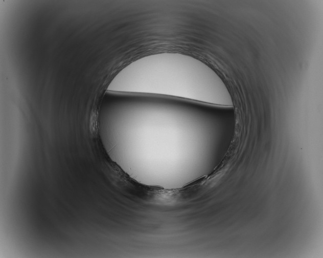 X0000099520096200805151041