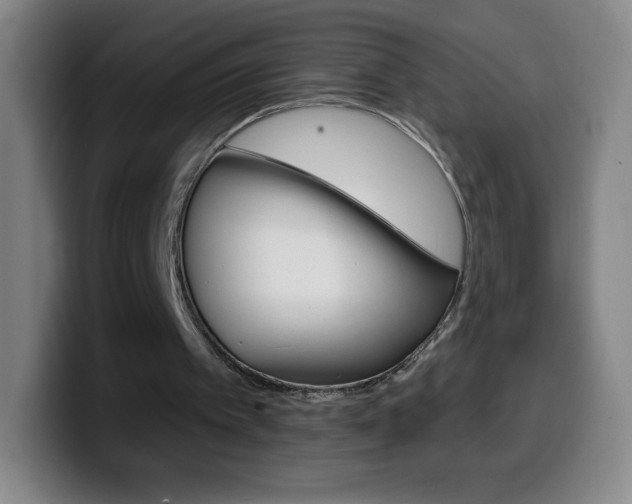 X0000099520097200805151041