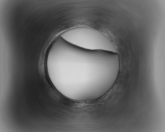 X0000099520098200805151041
