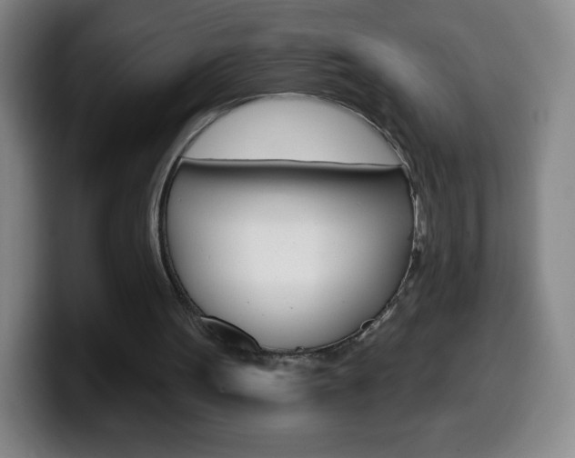 X0000099520099200805151041