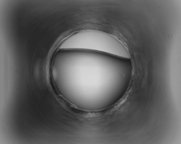X0000099520101200805151041