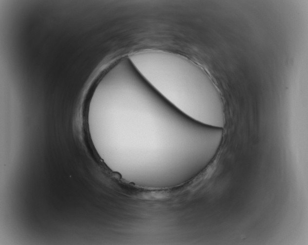 X0000099520102200805151041