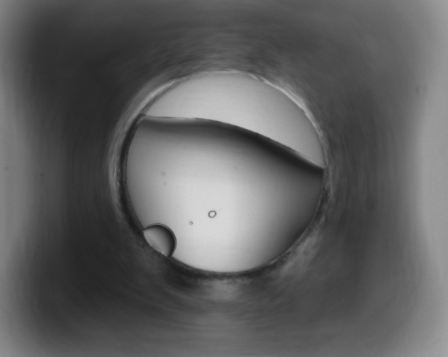 X0000099520103200805151041