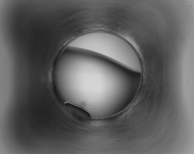 X0000099520105200805151041