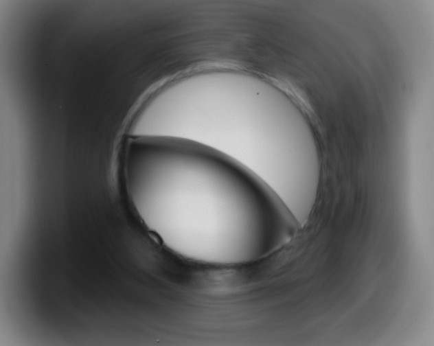 X0000099520108200805151041