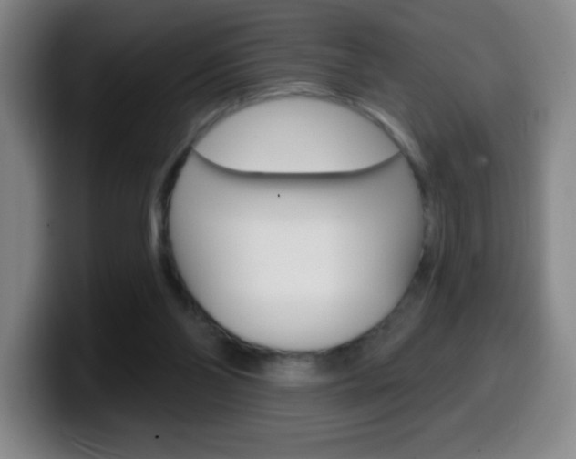 X0000099520110200805151041