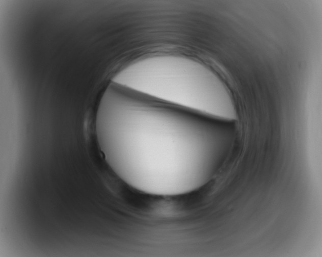 X0000099520119200805151040