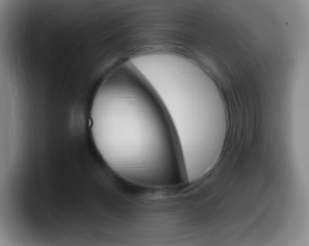 X0000099520120200805151040