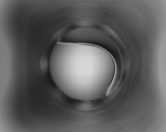 X0000099520124200805151040