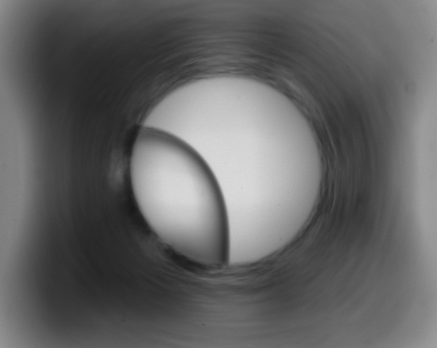 X0000099520125200805151040