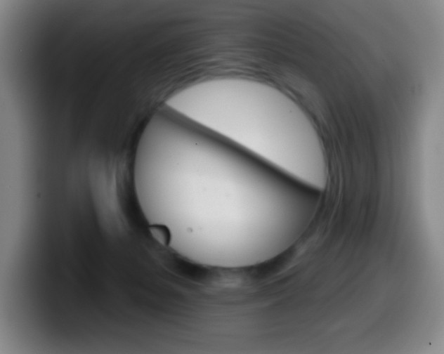 X0000099520127200805151040