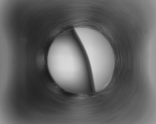 X0000099520128200805151040