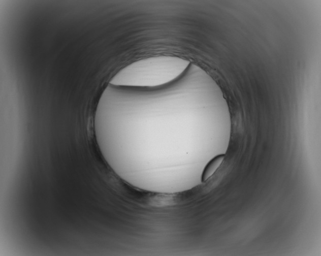 X0000099520138200805151040