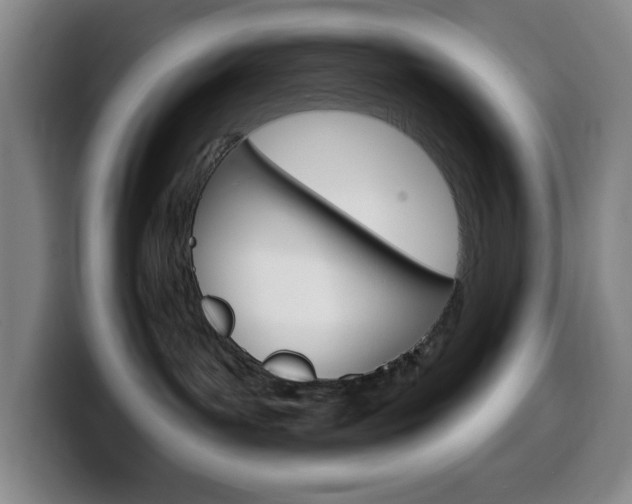 X0000099520143200805151040