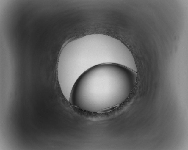 X0000099520144200805151040