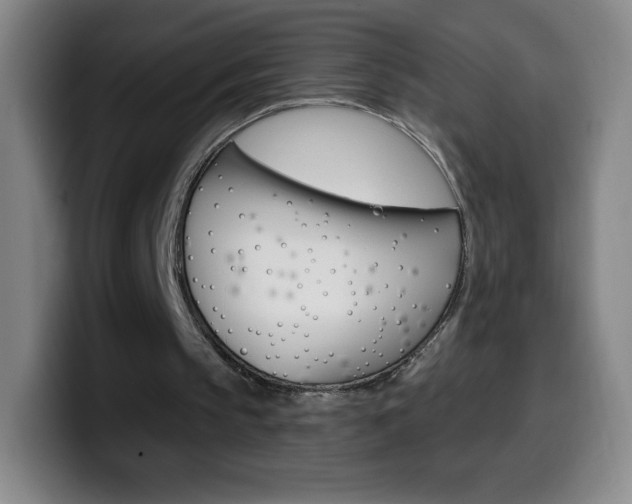 X0000099520145200805151039
