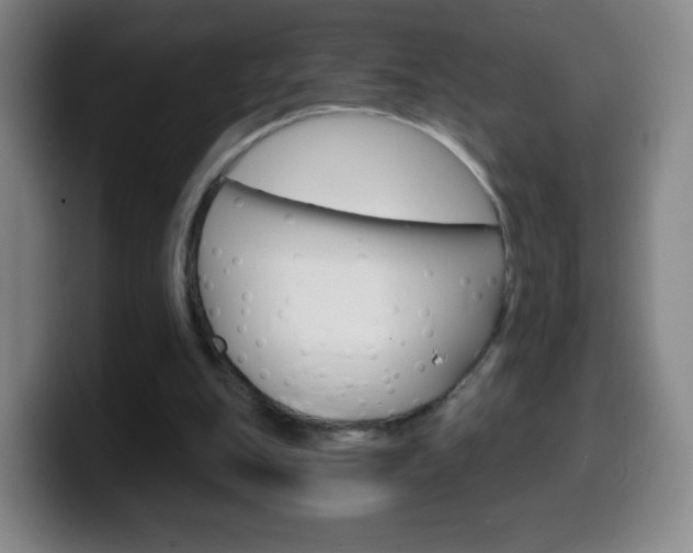 X0000099520151200805151039