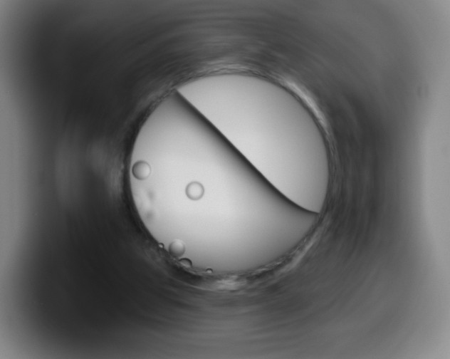 X0000099520153200805151039