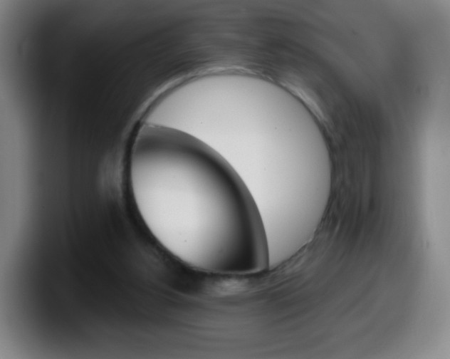 X0000099520156200805151039