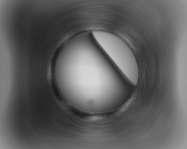 X0000099520158200805151040