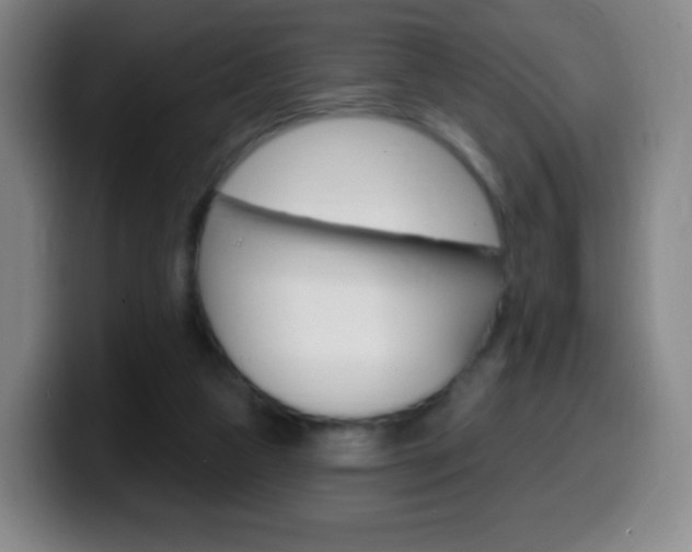 X0000099520161200805151040