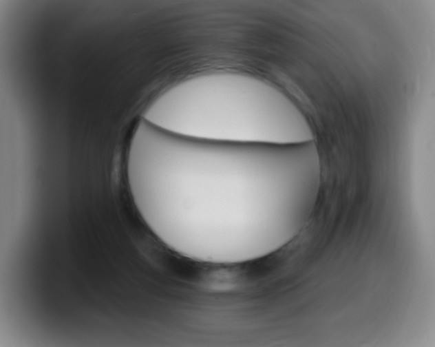 X0000099520163200805151040