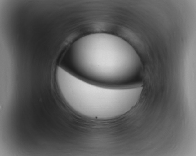 X0000099520164200805151040