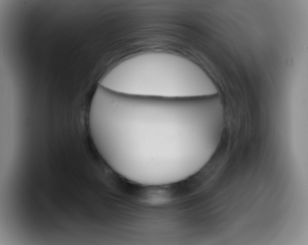 X0000099520169200805151040