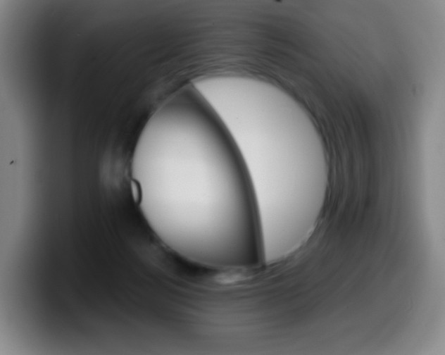 X0000099520172200805151040