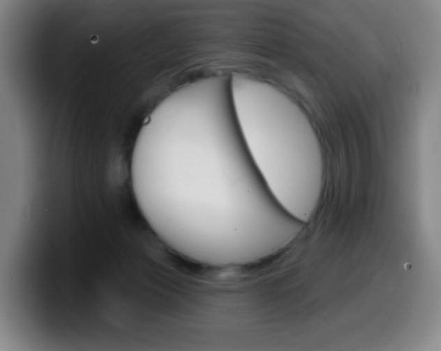 X0000099520173200805151040