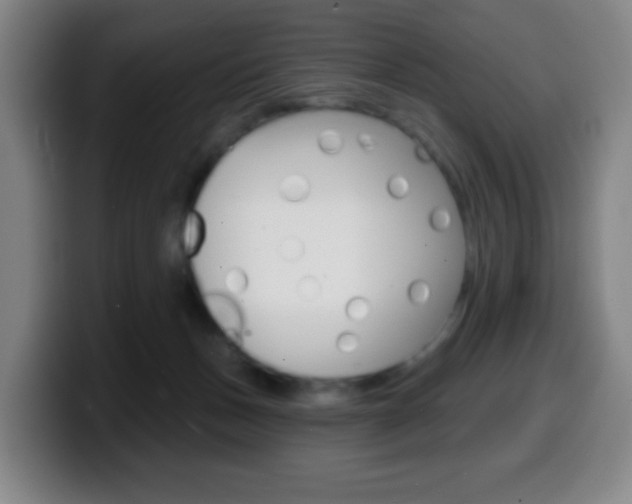 X0000099520175200805151040