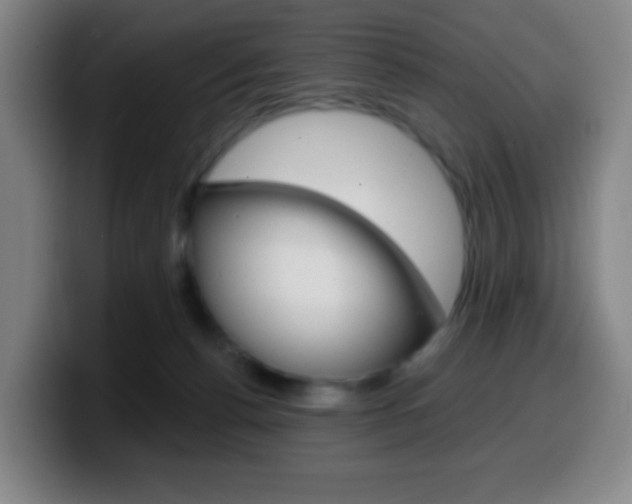 X0000099520176200805151040