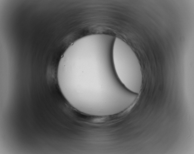 X0000099520178200805151040